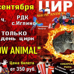  ТОЛЬКО 1 день цирк «SHOW ANIMAL”